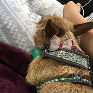 Meet your Posher, Taylor